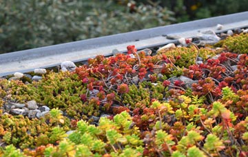 the cost of Hammond Street green roof installation