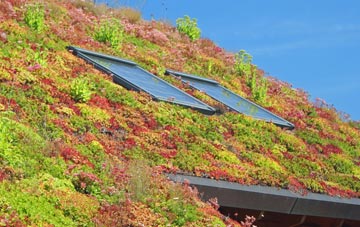 Hammond Street living roof systems
